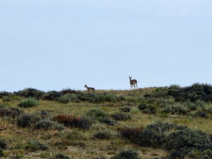 Land for sale in Sweetwater County, Wyoming