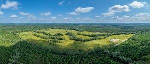 Land for sale in Berrien County, Georgia
