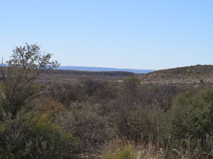 Hunting Property for sale in Terrell County, Texas