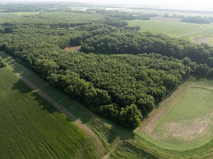 Riverfront Property for sale in Fulton County, Illinois