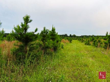 Undeveloped Land for sale in McCurtain County, Oklahoma