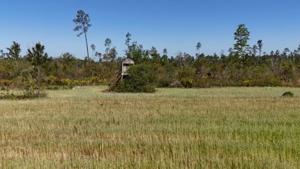 Recreational Property for sale in Madison County, Florida