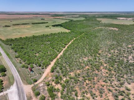 Recreational Property for sale in Jones County, Texas