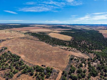 Farm and Ranch for sale in Dolores County, Colorado