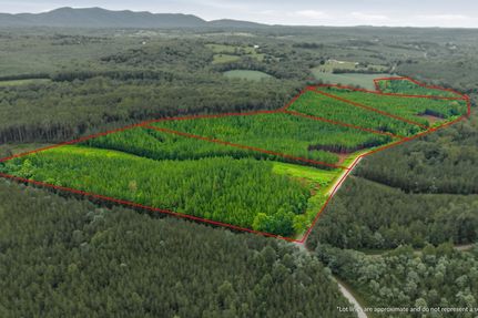 Undeveloped Land for sale in Pittsylvania County, Virginia