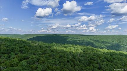 Undeveloped Land for sale in Sullivan County, New York