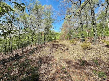 Homesite for sale in Baxter County, Arkansas