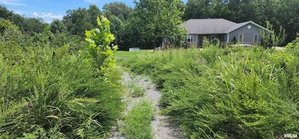 Undeveloped Land for sale in Jackson County, Illinois