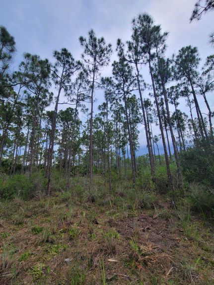 Undeveloped Land for sale in Martin County, Florida