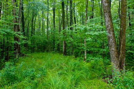 Land for sale in Price County, Wisconsin