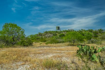 Land for sale in Live Oak County, Texas