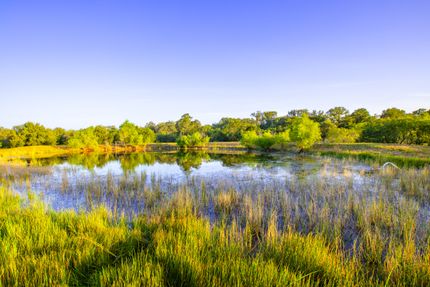 Farm and Ranch for sale in Karnes County, Texas