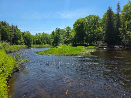 Land for sale in Aroostook County, Maine