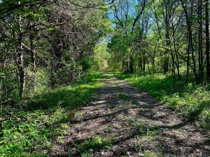 Land for sale in Marshall County, Tennessee