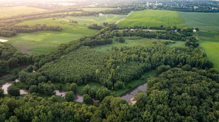 Land for sale in Mercer County, Illinois