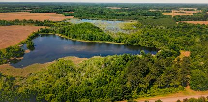 Undeveloped Land for sale in Calhoun County, Georgia