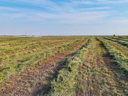 Land for sale in Wallace County, Kansas