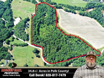 Land for sale in Polk County, North Carolina