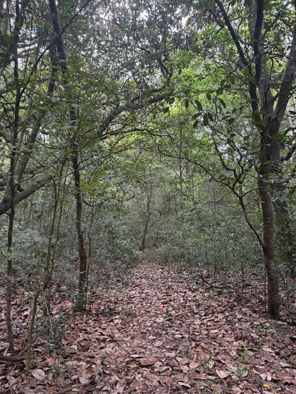 Farm and Ranch for sale in Geneva County, Alabama