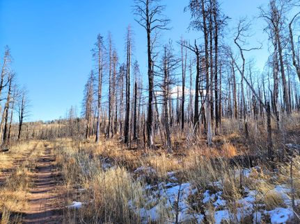 Recreational Property for sale in Costilla County, Colorado