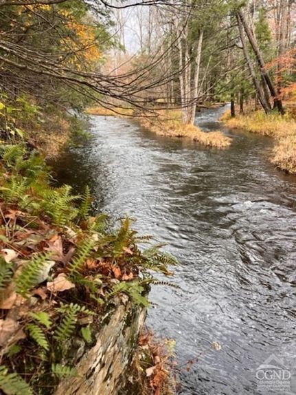 Recreational Property for sale in Greene County, New York