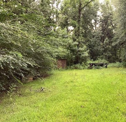 Undeveloped Land for sale in Jasper County, Texas