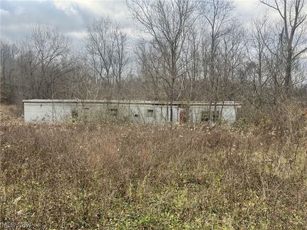 Undeveloped Land for sale in Morgan County, Ohio