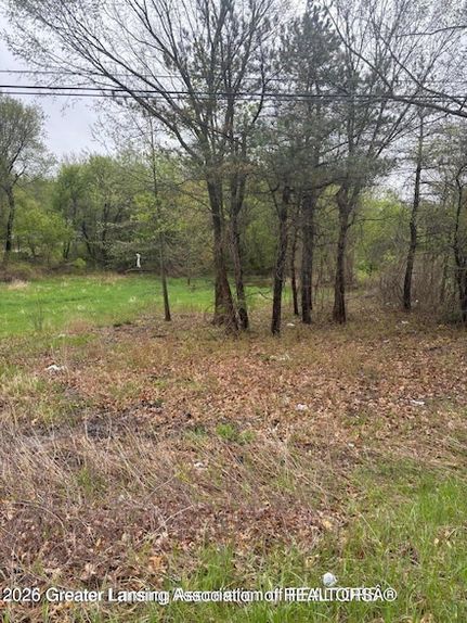 Undeveloped Land for sale in Clinton County, Michigan
