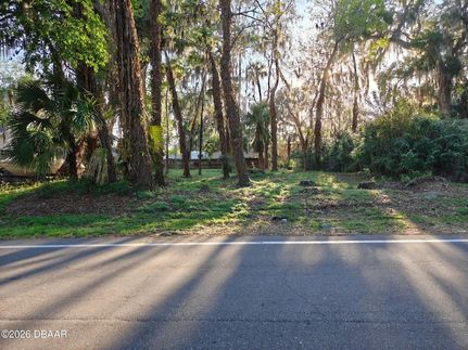 Undeveloped Land for sale in Volusia County, Florida