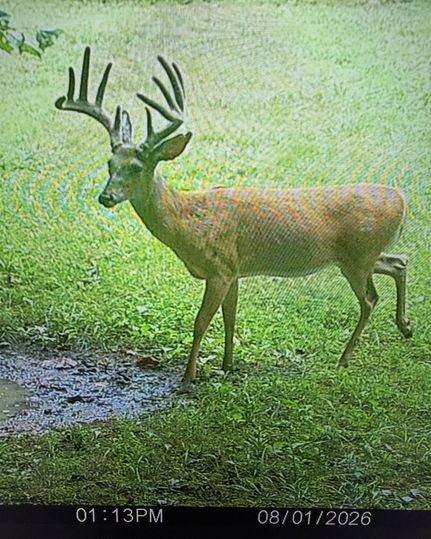 Land for sale in Grayson County, Kentucky