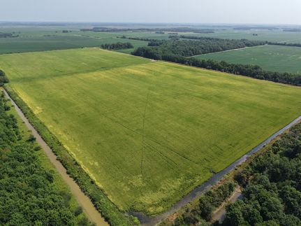 Land for sale in Phillips County, Arkansas