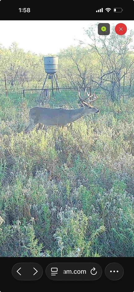 Land for sale in Jefferson County, Oklahoma