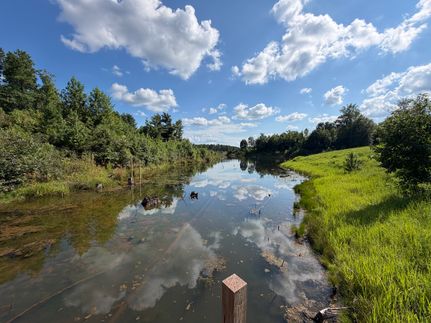 Farm and Ranch for sale in Tuscaloosa County, Alabama