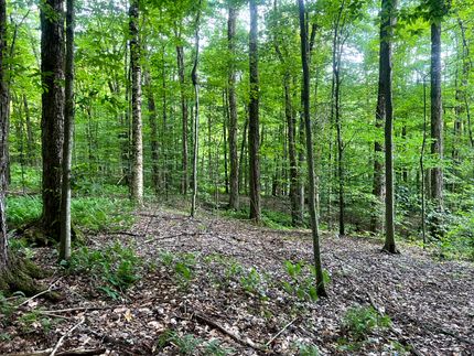 Land for sale in Oneida County, New York