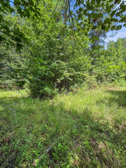 Land for sale in Choctaw County, Mississippi