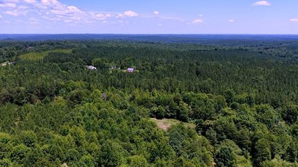 Undeveloped Land for sale in Pittsylvania County, Virginia