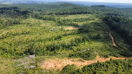 Land for sale in Webster County, Mississippi