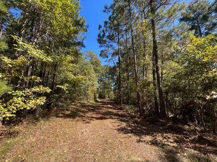 Land for sale in Franklin County, Mississippi