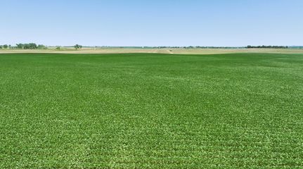 Farm and Ranch for sale in Douglas County, South Dakota