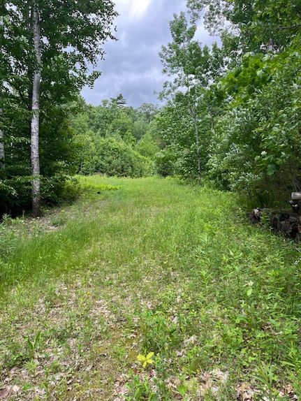 Land for sale in Oxford County, Maine