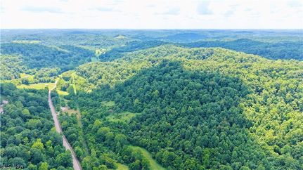 Undeveloped Land for sale in Belmont County, Ohio