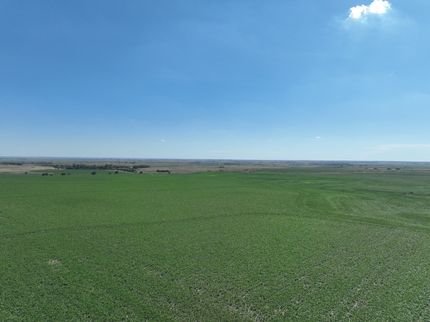 Undeveloped Land for sale in Rooks County, Kansas