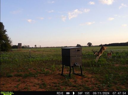 Farm and Ranch for sale in Comanche County, Texas