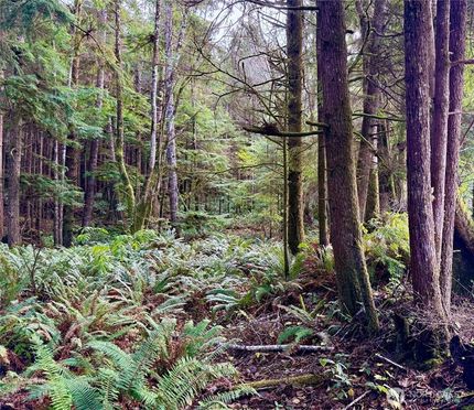 Land for sale in Grays Harbor County, Washington