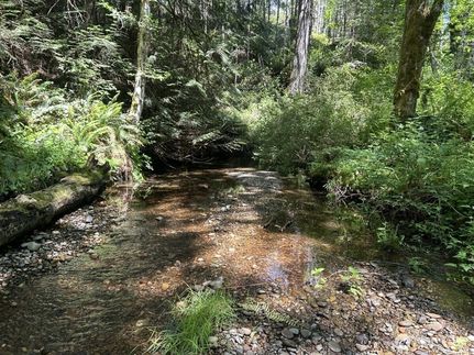 Land for sale in Mason County, Washington