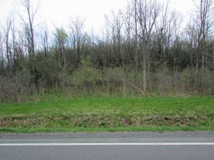 Land for sale in Madison County, New York