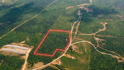 Undeveloped Land for sale in Randolph County, Alabama