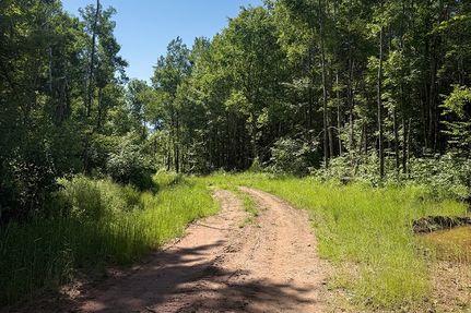Land for sale in Douglas County, Wisconsin