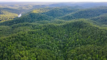 Land for sale in Whitley County, Kentucky