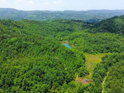 Undeveloped Land for sale in Campbell County, Tennessee
